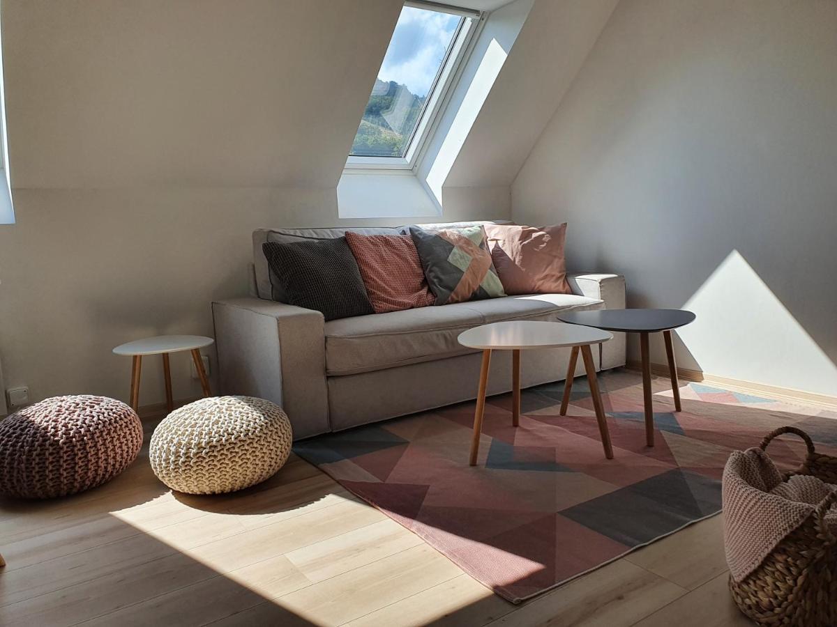 Apartmany Brachovna Mikulov v Krusnych Horach Zewnętrze zdjęcie
