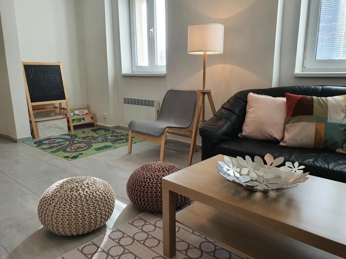 Apartmany Brachovna Mikulov v Krusnych Horach Zewnętrze zdjęcie
