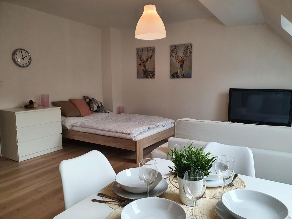 Apartmany Brachovna Mikulov v Krusnych Horach Zewnętrze zdjęcie