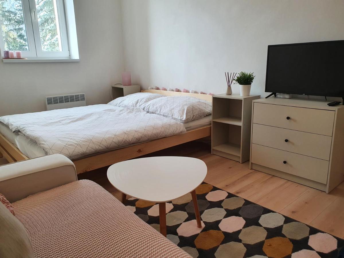 Apartmany Brachovna Mikulov v Krusnych Horach Zewnętrze zdjęcie